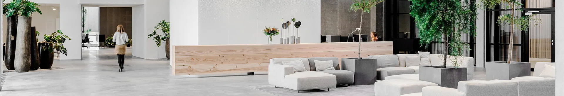 Lyst, nordisk indrettet lokale hos Ambiente med sofaer og planter